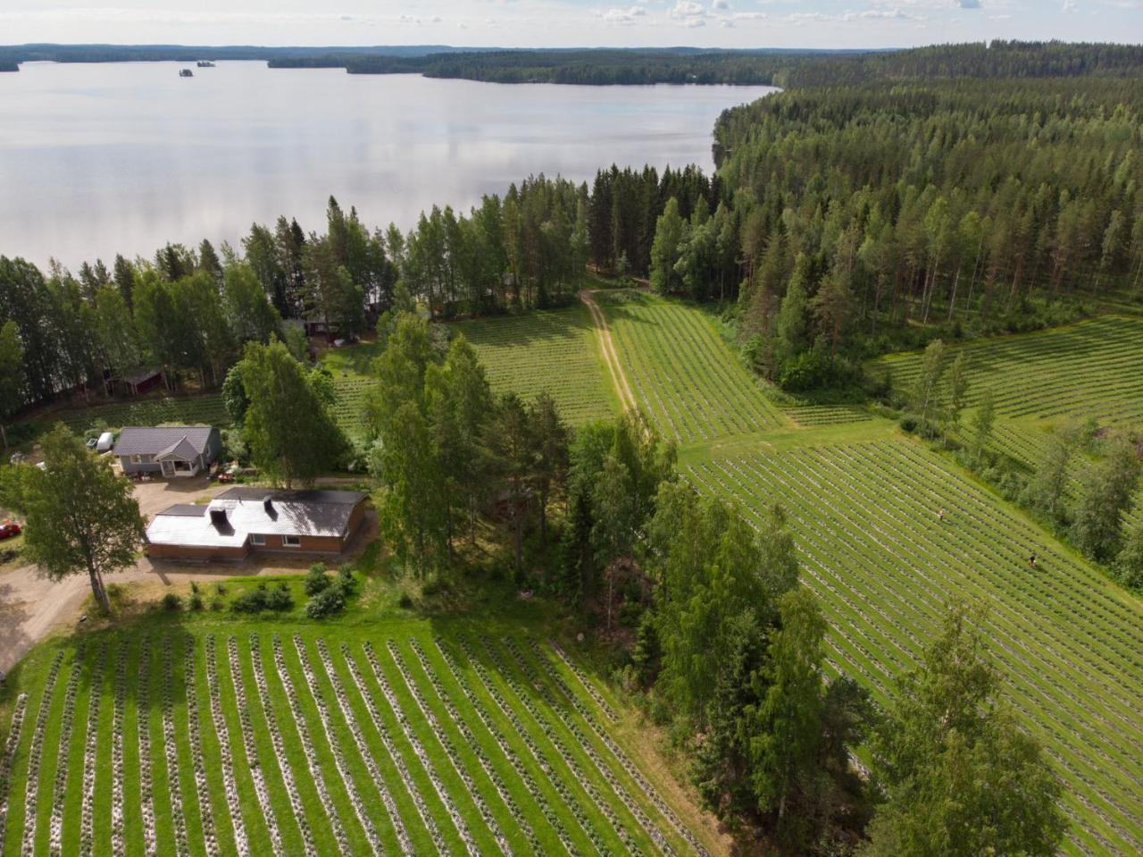 Hiekkarannanlomat Ferienhaus *